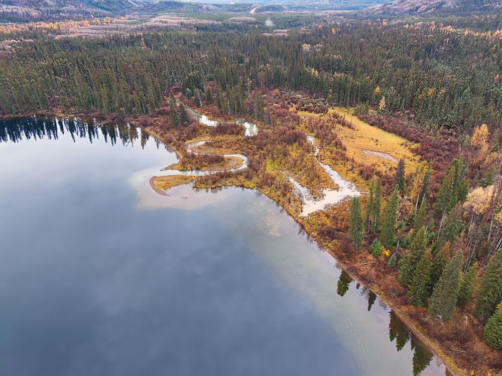 Gwillam Lake